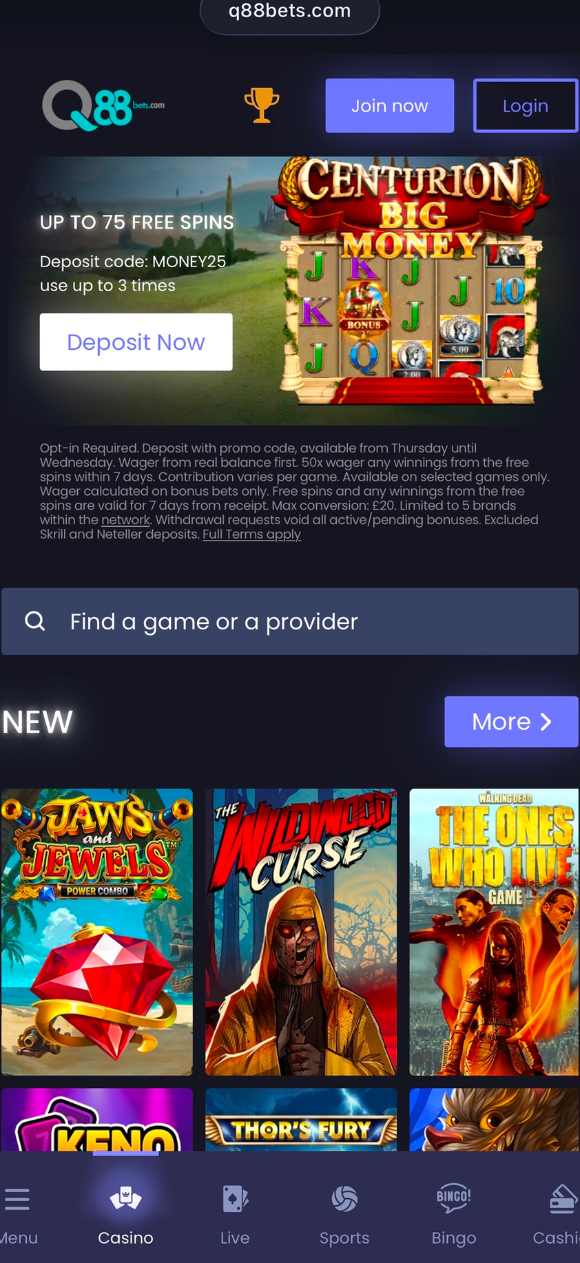 Q88Bets gallery image 1