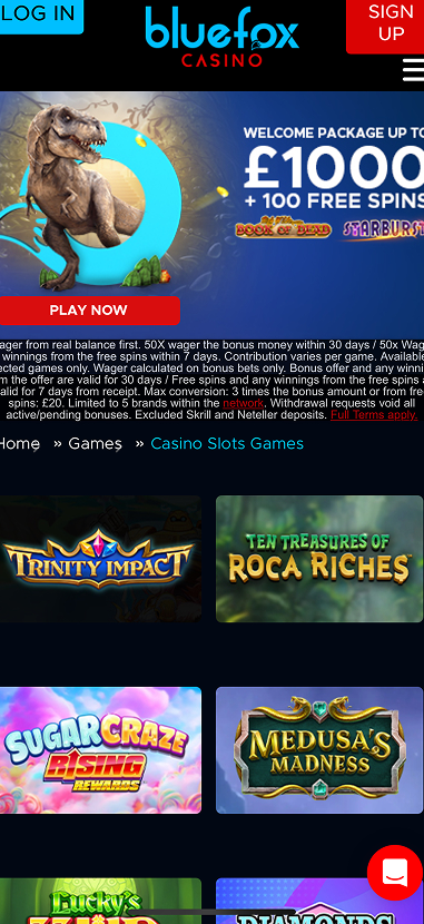 Bluefox Casino gallery image 4