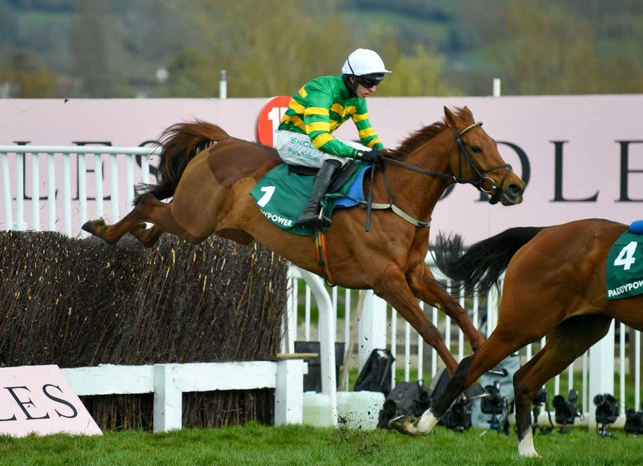 Bookies reflect on Cheltenham Festival: Challenges and triumphs