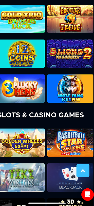 Bluefox Casino gallery image 2