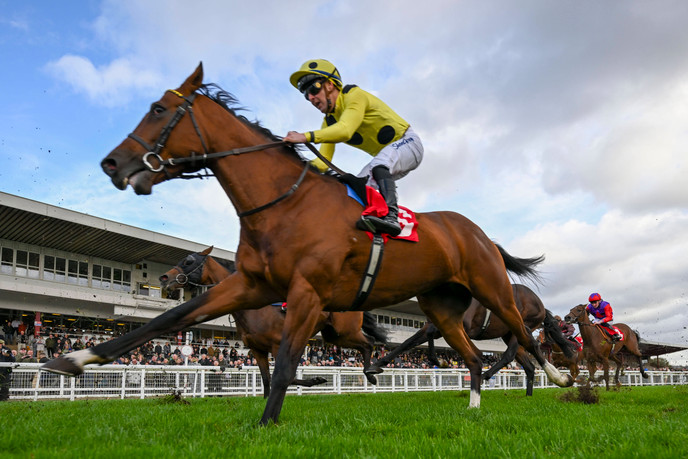 Ted's Treble | Three racing picks for Thursday 16 October