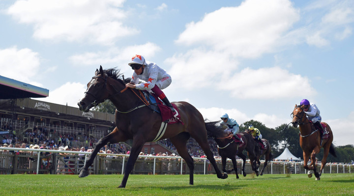 Ted's Treble: Debenhams July Festival in Newmarket 2025 - Day One