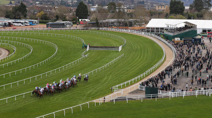 Ted's Treble: Trio of tips for Friday at Cheltenham's Showcase meeting