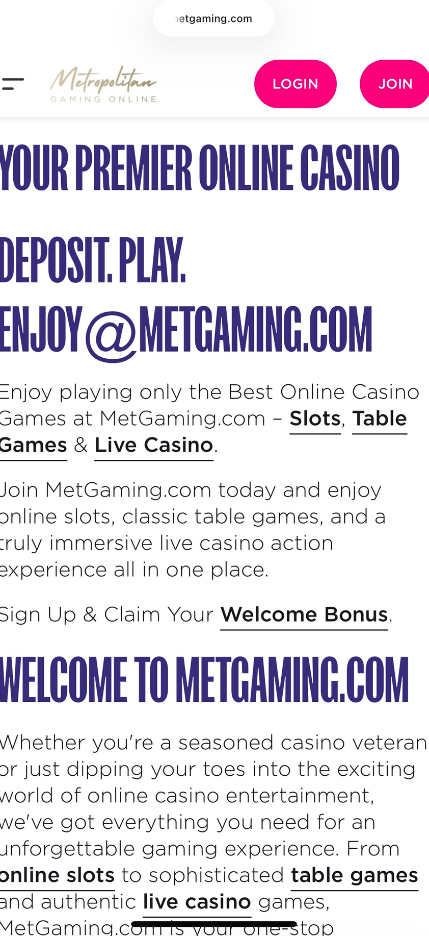 MetGaming gallery image 5