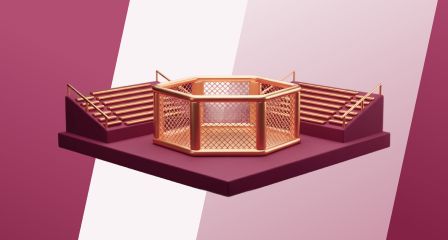 Venue and crowd factors