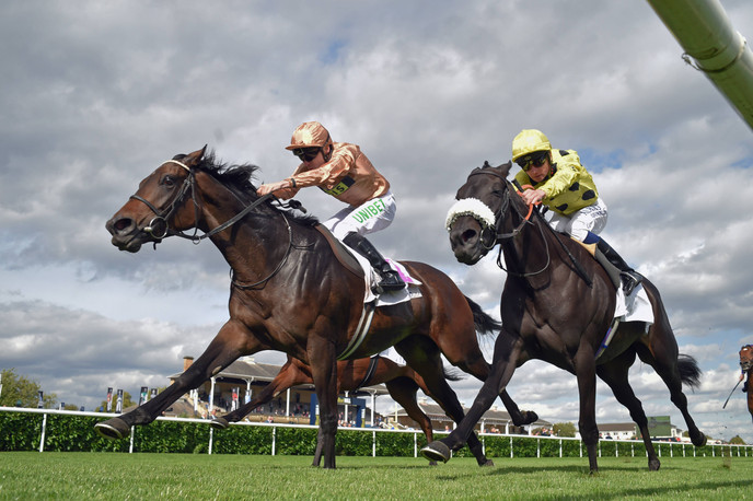 St Leger Festival 2025 betting tips, predictions and analysis