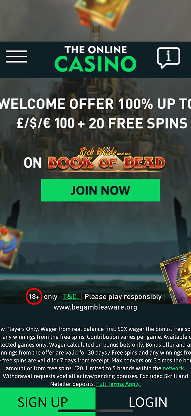 The Online Casino gallery image 1