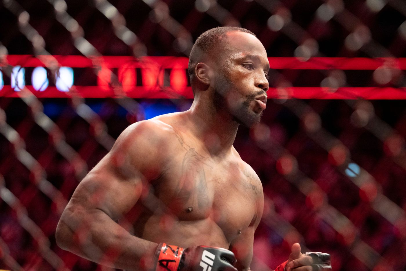 UFC London: Edwards vs Brady betting tips: Will the former champion bounce back on home soil?