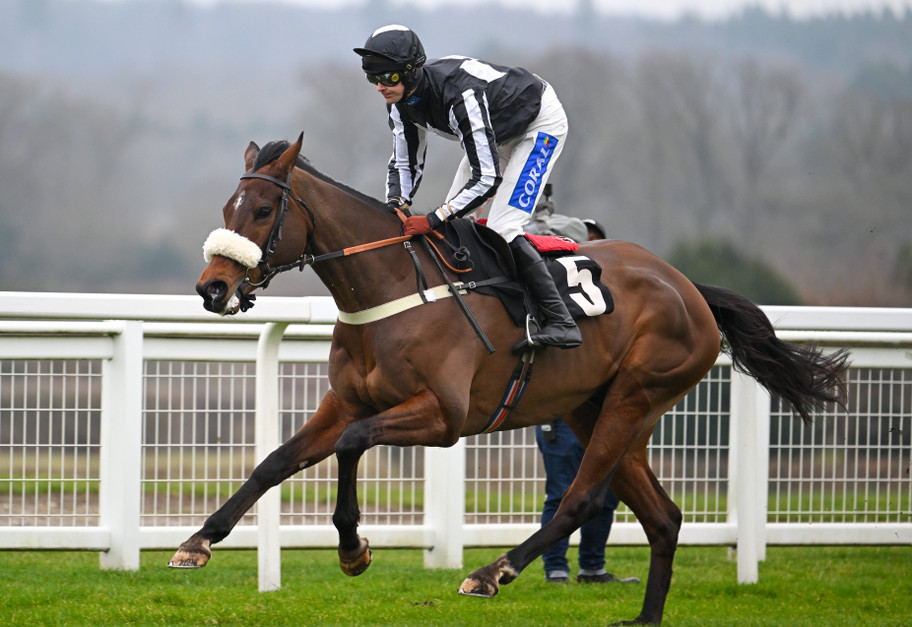 Ascot racegoers to benefit from ‘Smart View’ betting tool