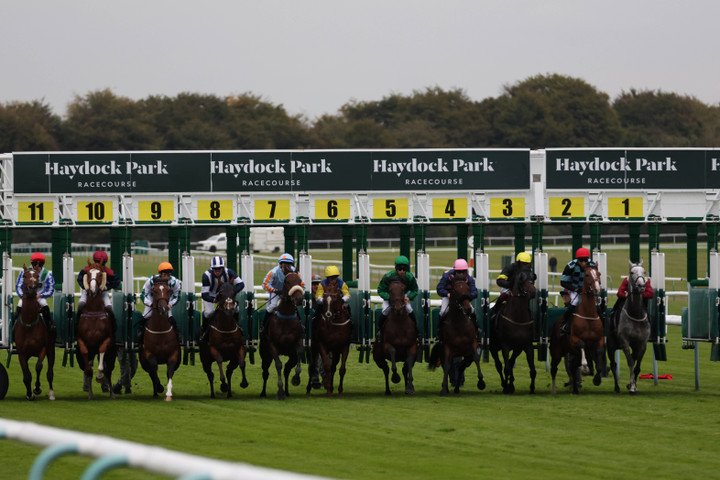 Racing tips for Ascot and Haydock