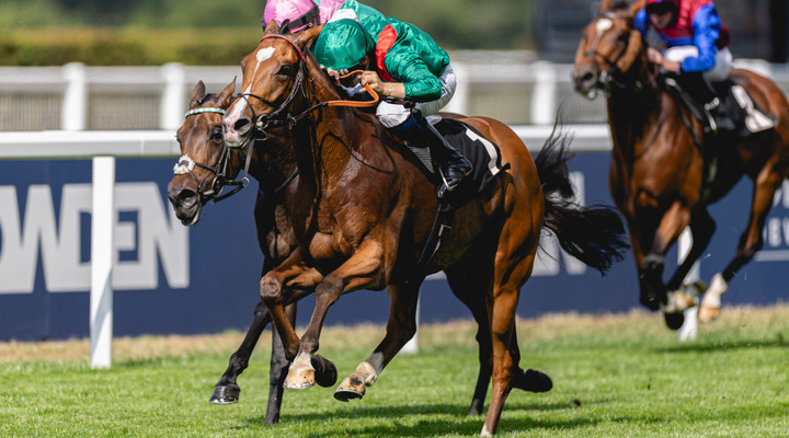 Ted's Treble: All eyes on Ascot
