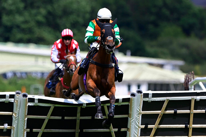 Ted's Saturday Selections: Ascot, York, Uttoxeter 
