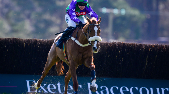 Ted's Treble: Three picks for the Haldon Gold Cup