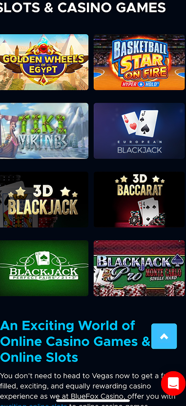 Bluefox Casino gallery image 3