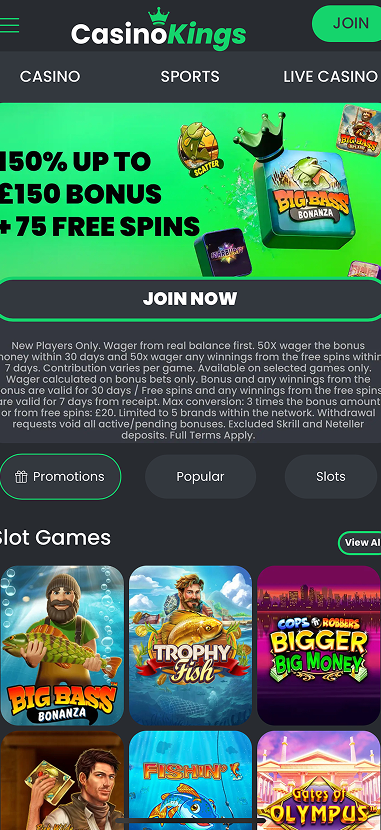 Casino Kings gallery image 1