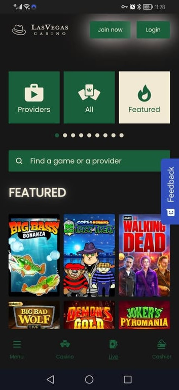 Las Vegas Casino gallery image 3