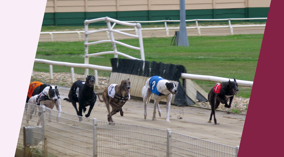 Entain announces closure of Crayford greyhound track