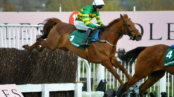 Cheltenham’s challenges and triumphs: Bookmakers reflect on the “Olympics of horse racing”