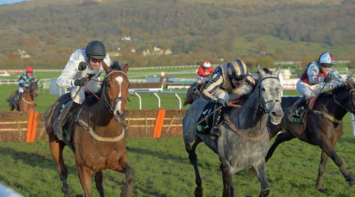 Ted's Treble: Picks for November Meeting Day 2