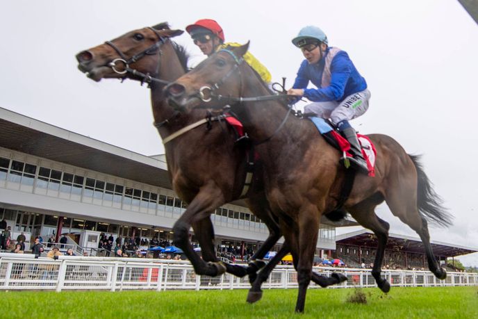 Lay betting explained - the ultimate guide 