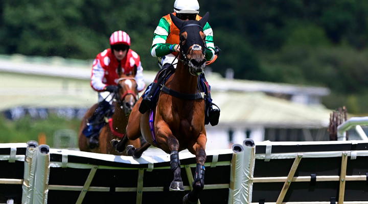 Ted's Saturday Selections: Our tips for the day - Kalpana at Ascot 