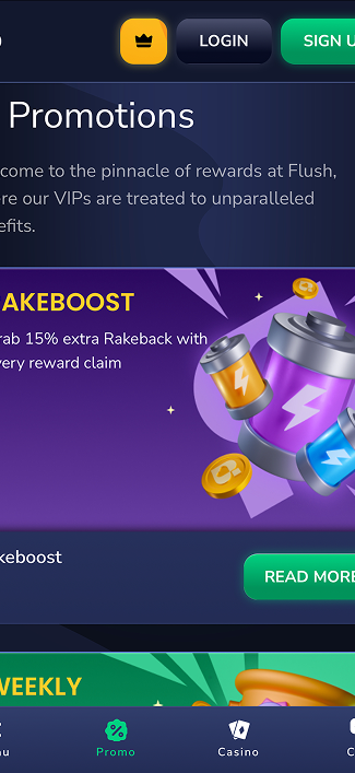 Flush gallery image 6