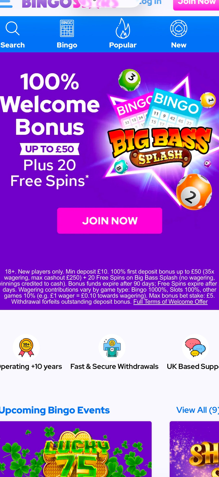 Bingo Stars gallery image 6