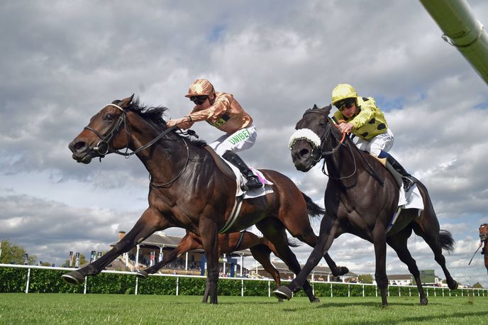 St Leger Festival 2025 betting tips, predictions and analysis