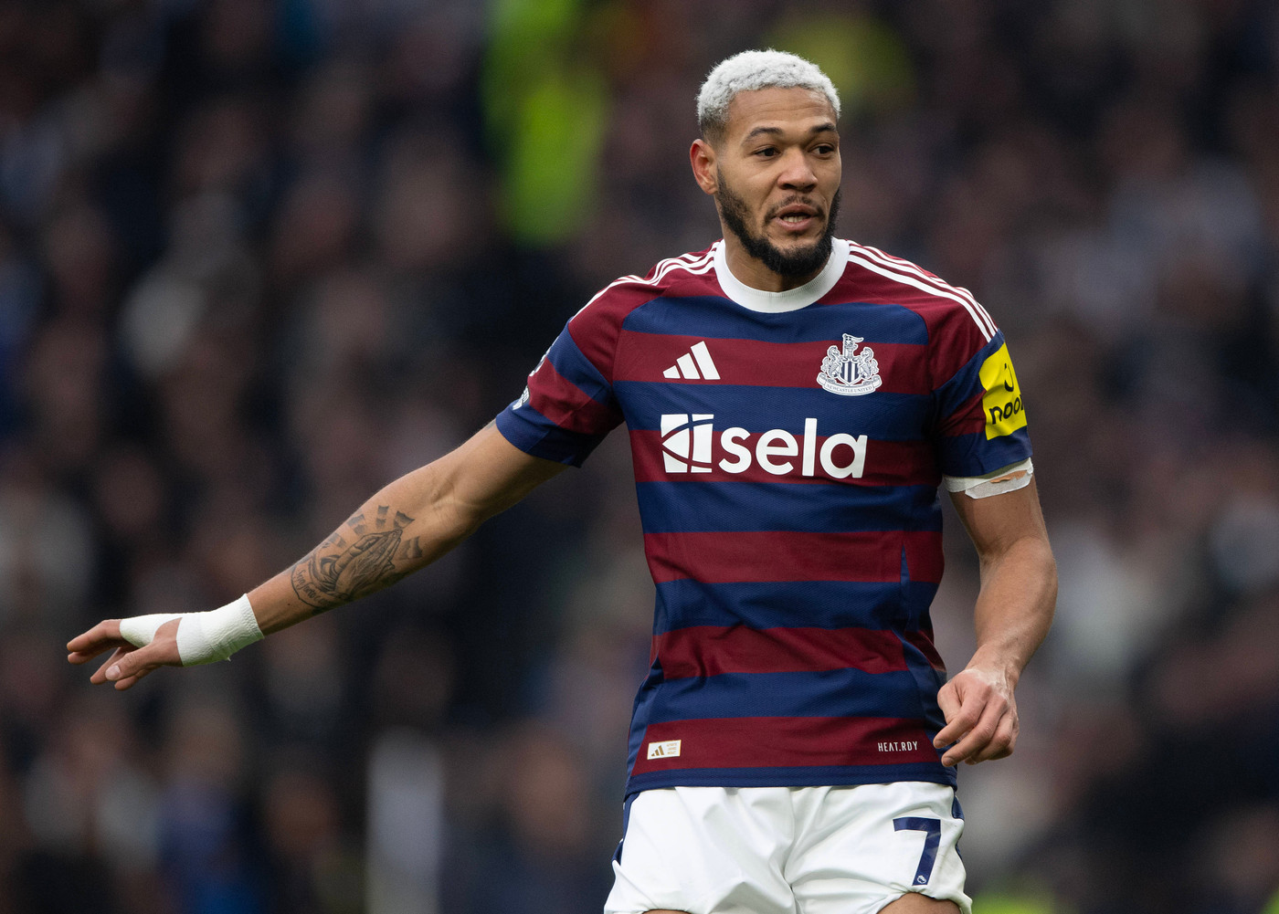Premier League betting tips: Matchweek 21 preview