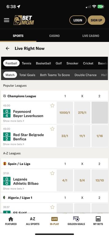 BetMGM bookmaker review: Everything you need to know