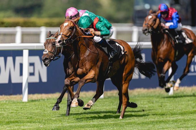 Ted's Saturday Selections: Ascot, Haydock and Newmarket