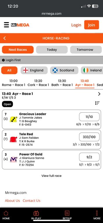 MrMega bookmaker review: Everything you need to know