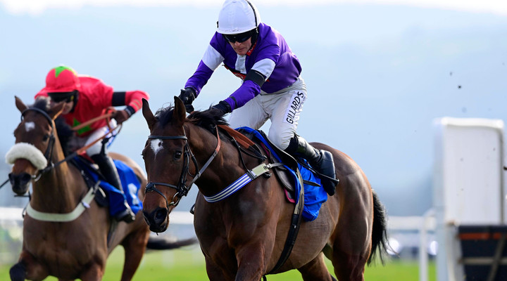 IFHA expresses concern over explosive growth in unlicensed betting