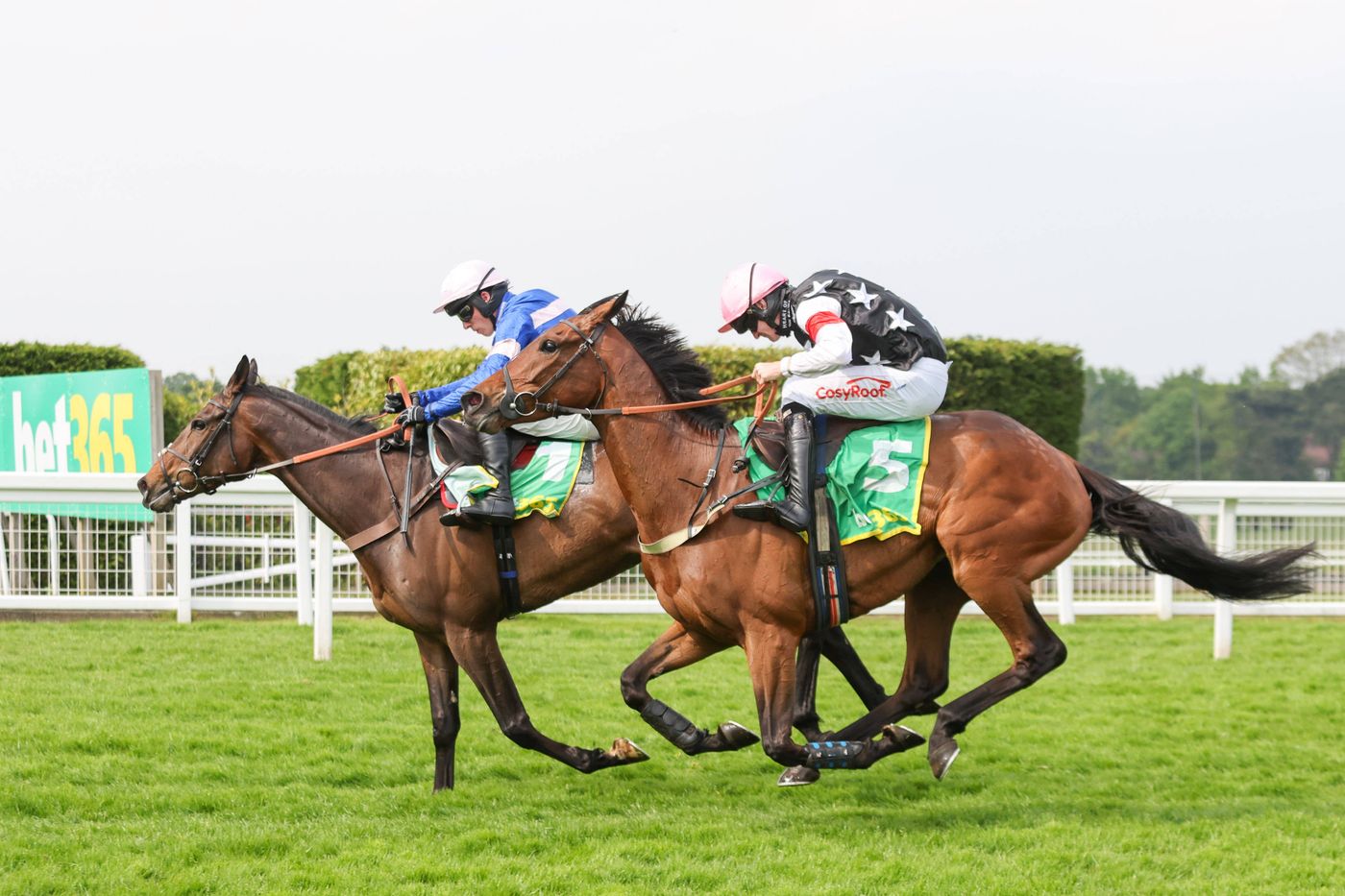 Sandown Park Eclipse Weekend 2025 - odds, tips and bookmaker welcome bonuses 