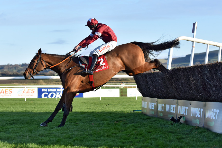 IMAGO: Ted offers up a tip for the&nbsp;John Durkan Chase at Punchestown this weekend