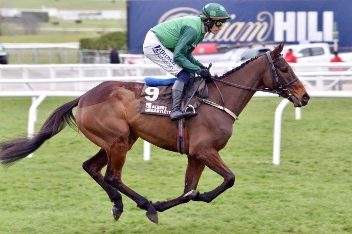Ted's Treble | Day 2 of Cheltenham's Showcase meet