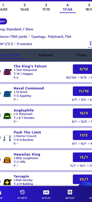 Highbet gallery image 4