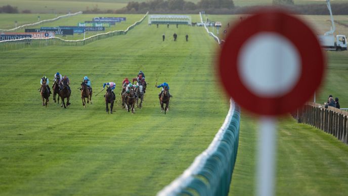 Ted's Treble: Day Two of Debenhams July Festival in Newmarket 2025