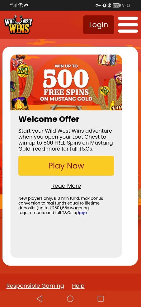 Wild West Wins gallery image 4