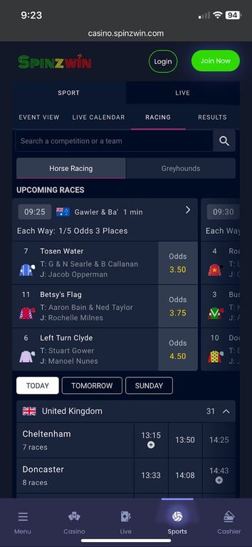 Spinzwin Bet bookmaker review: Everything you need to know