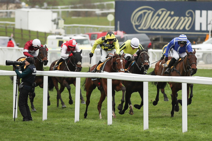 Ted's Treble | Three racing picks for Day 3 of November Meeting