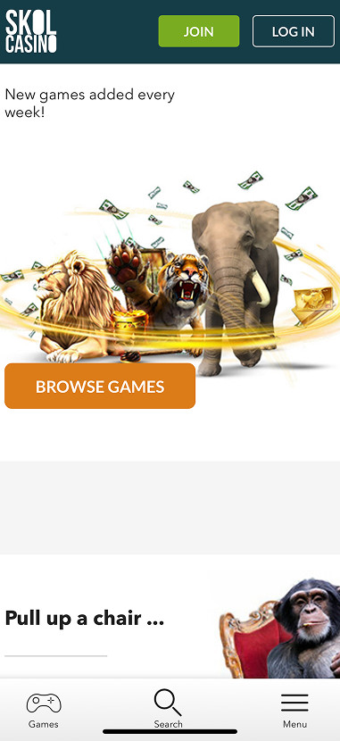 Skol Casino gallery image 3