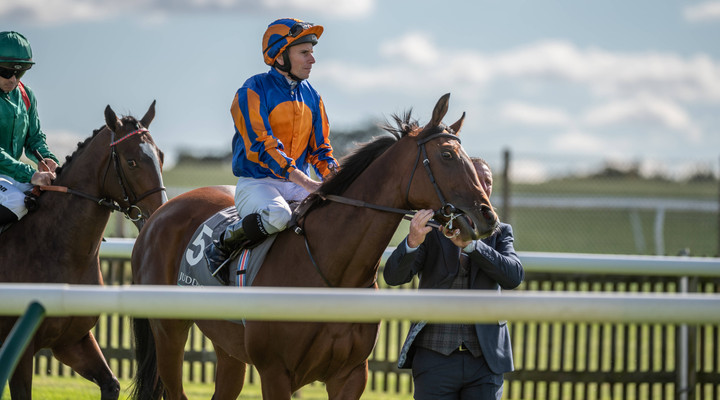 Cambridgeshire Meeting 2025: The ultimate betting guide and analysis