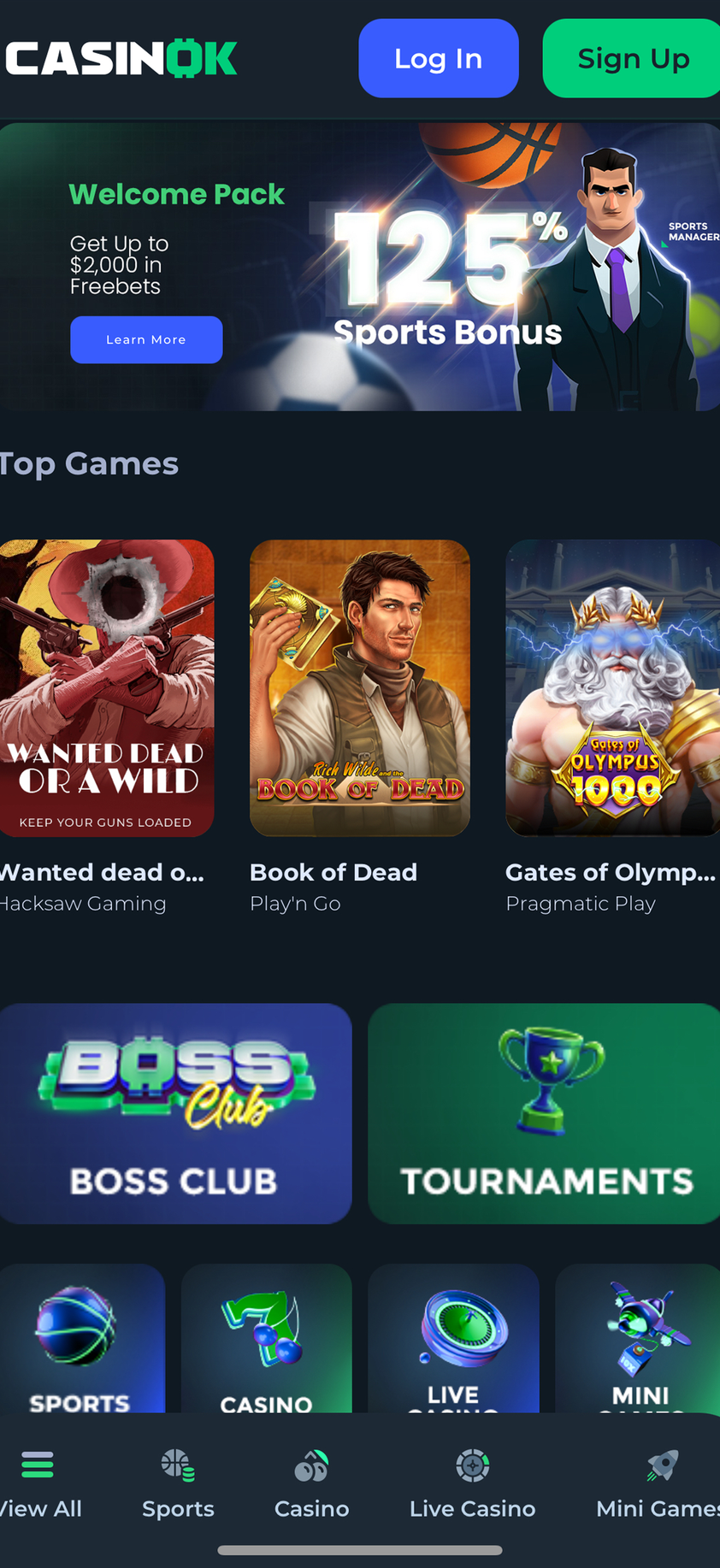 CasinOk gallery image 1