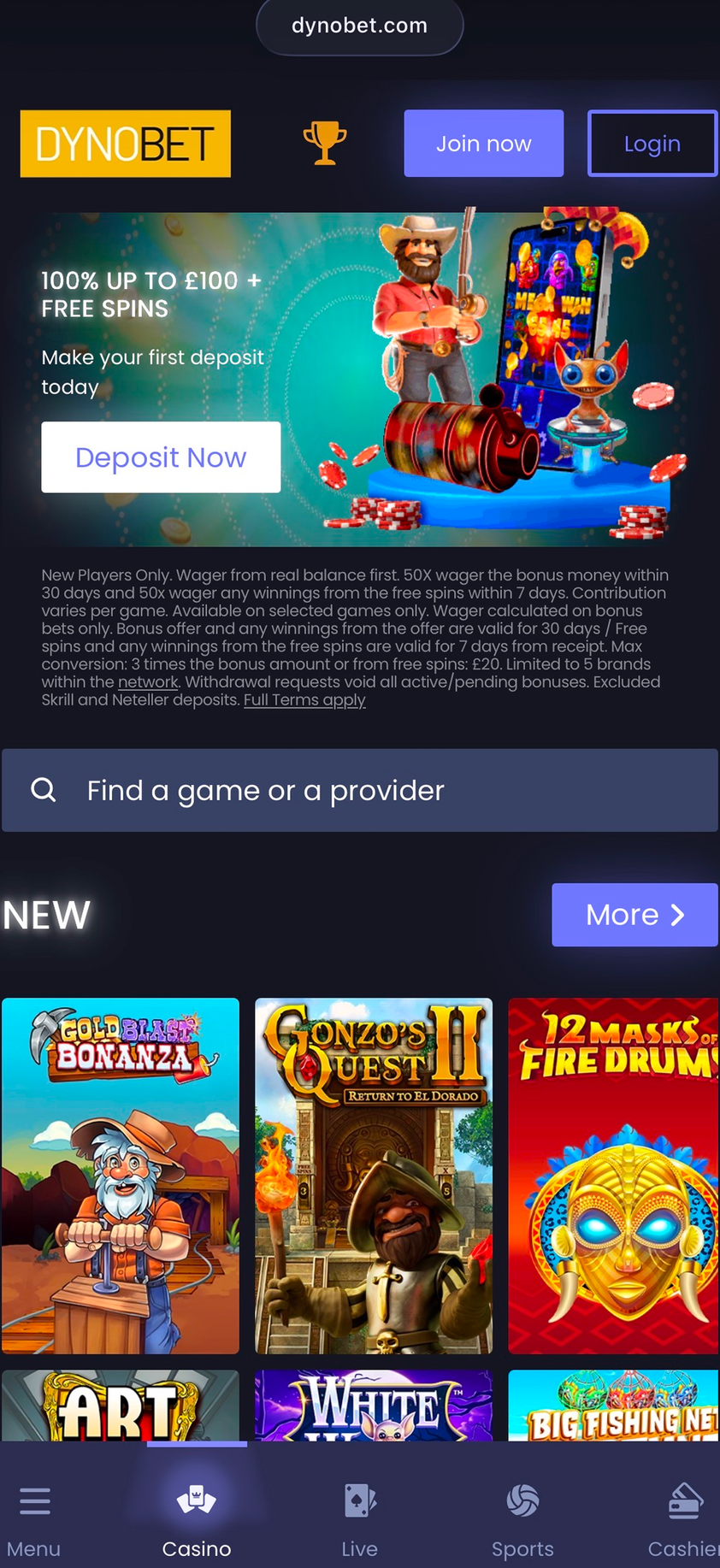 Dynobet gallery image 6