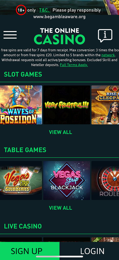 The Online Casino gallery image 2