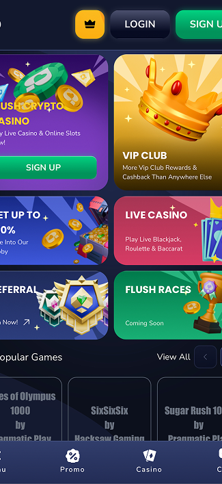 Flush gallery image 1