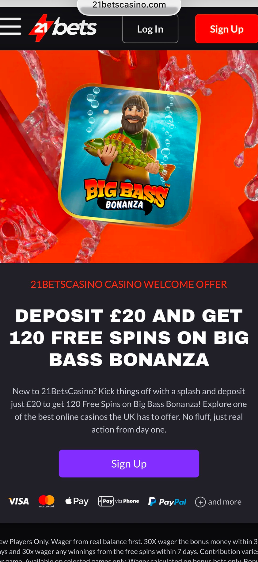 21Bets Casino gallery image 6