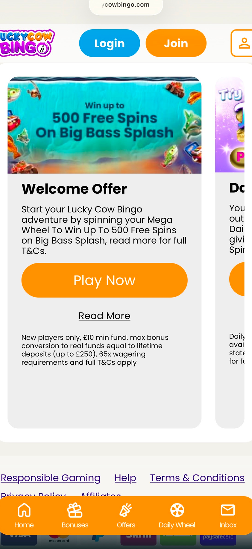 Lucky Cow Bingo gallery image 3