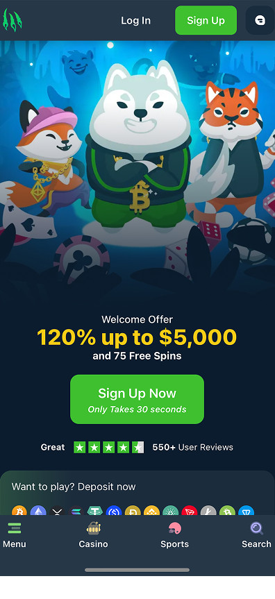 Wild.io gallery image 1